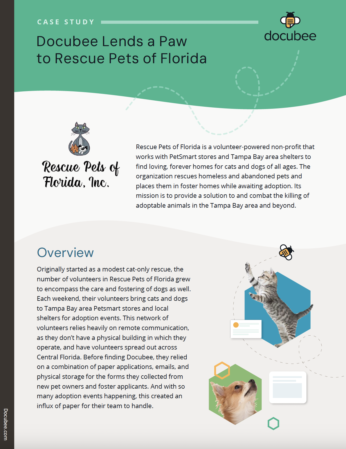 Rescue Pets of Florida Case Study